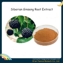 Siberian Ginseng Root Extract Eleutherosides